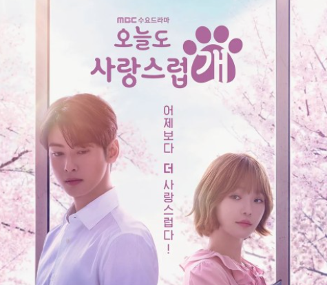 MBC 수요드라마 「오늘도 사랑스럽개」 차은우 박규영