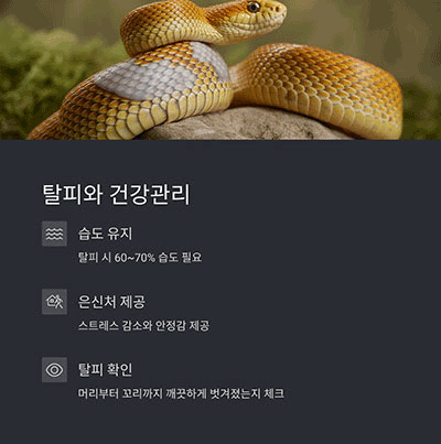 탈피와 건강관리 – 수분과 은신처가 중요