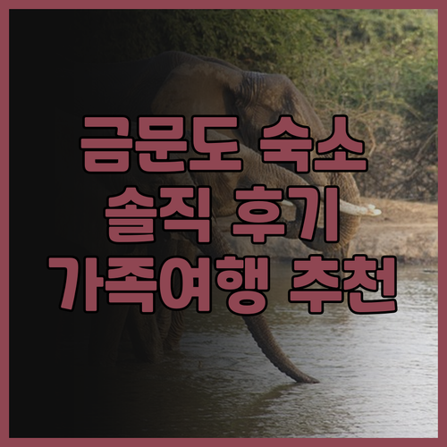 금문도 Good fortune hom..