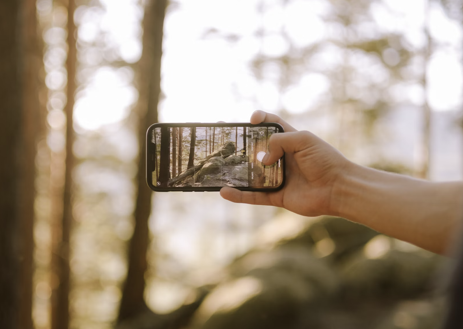 사진첩 분류 기능 중심에 있는 알고리즘
