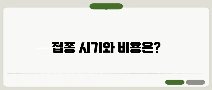 폐렴 예방접종 시기 비용 65세 이상 필수일까