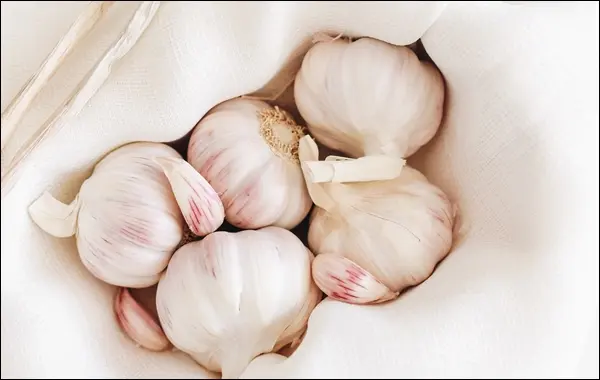 소고기무국-마늘