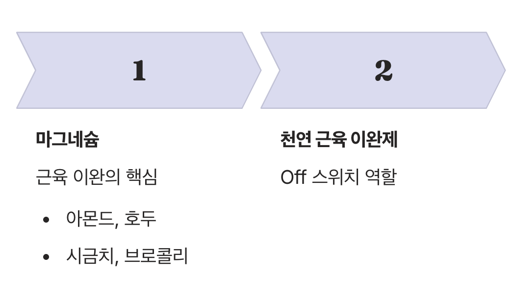 근육을 쉬게 하는 평화유지군&amp;#44; 마그네슘