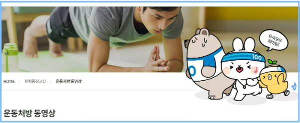 운동처방동영상