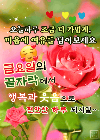금요일의 끝자락에서 편안한 하루를 응원하는 장미 꽃과 인사말 이미지