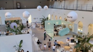 샤스타데이지 카페명소 BEST 5곳