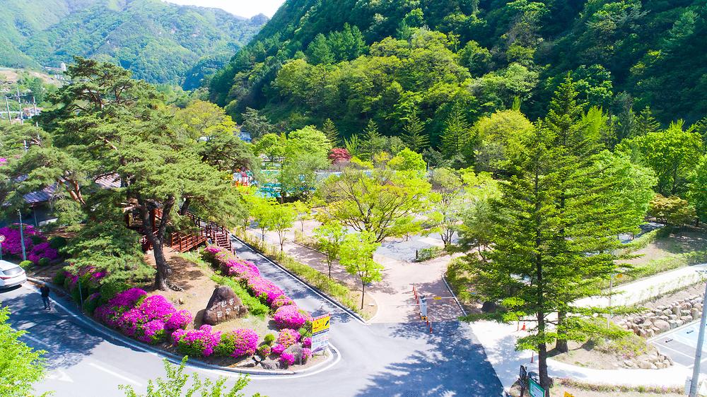 충청북도 단양군 천동오토캠핑장