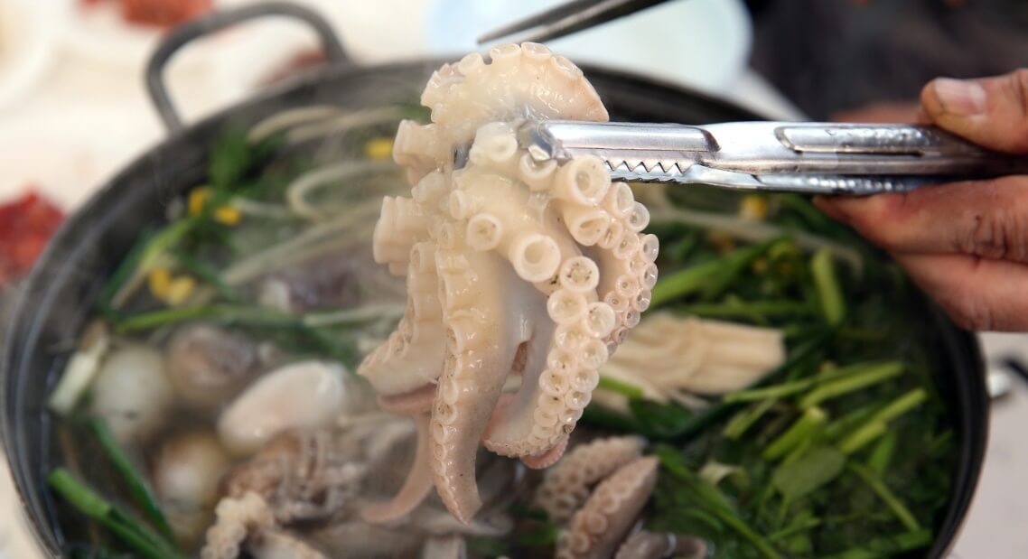 봄 축제 가볼만한 곳