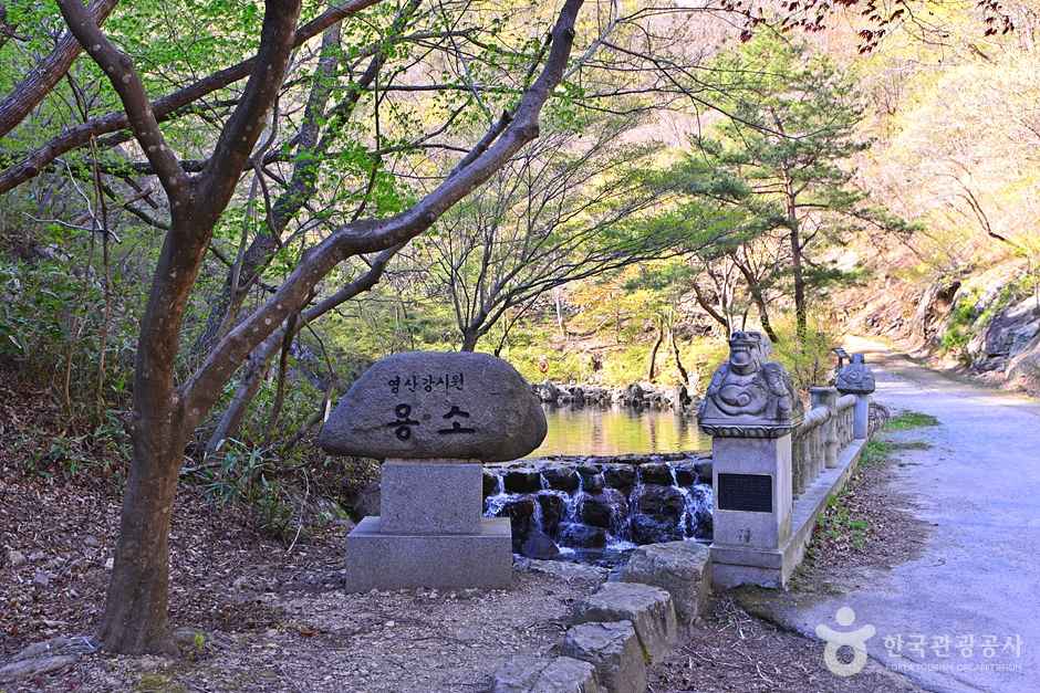 담양 가마골계곡