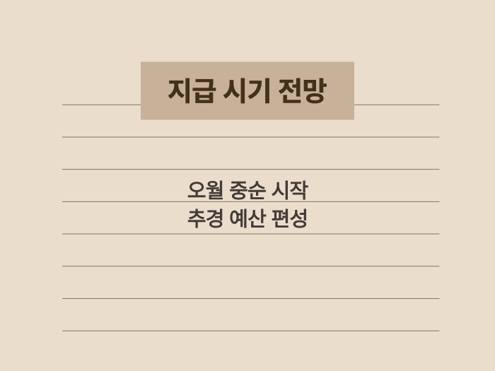 정부의 지원금 집행 목표 시기와 예산 확보 현황 요약 카드