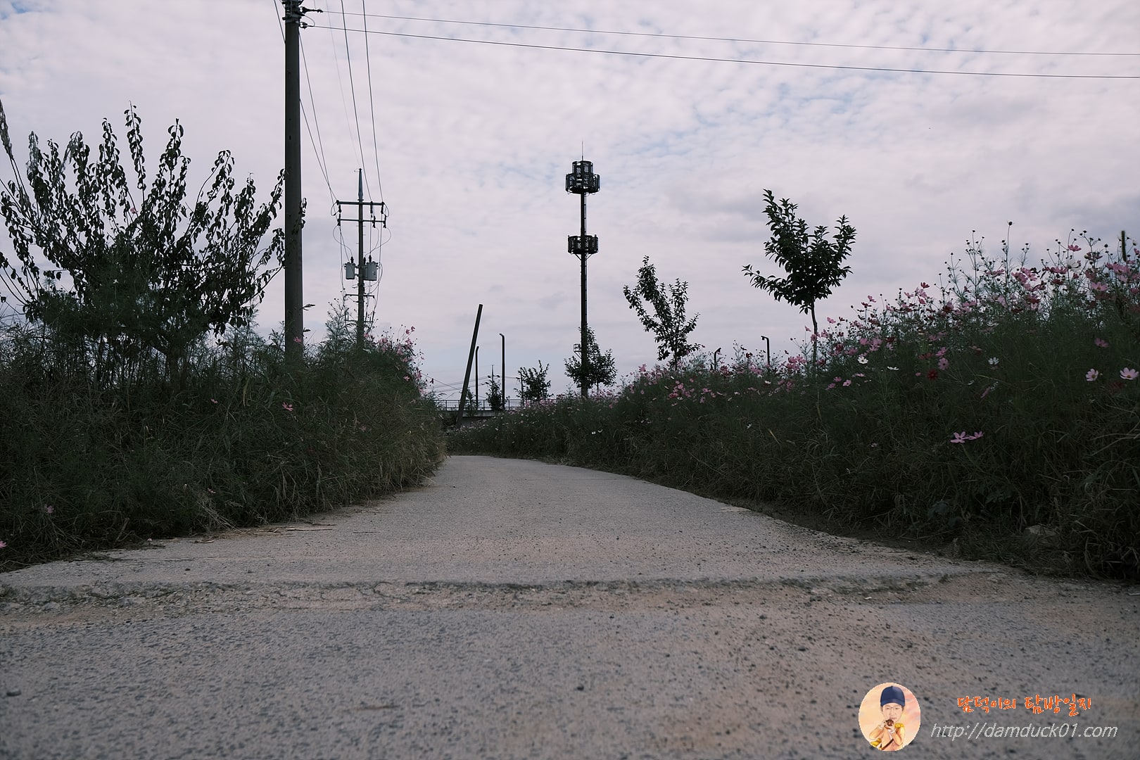 가을-하늘-시골길-산책-담덕이의탐방일지