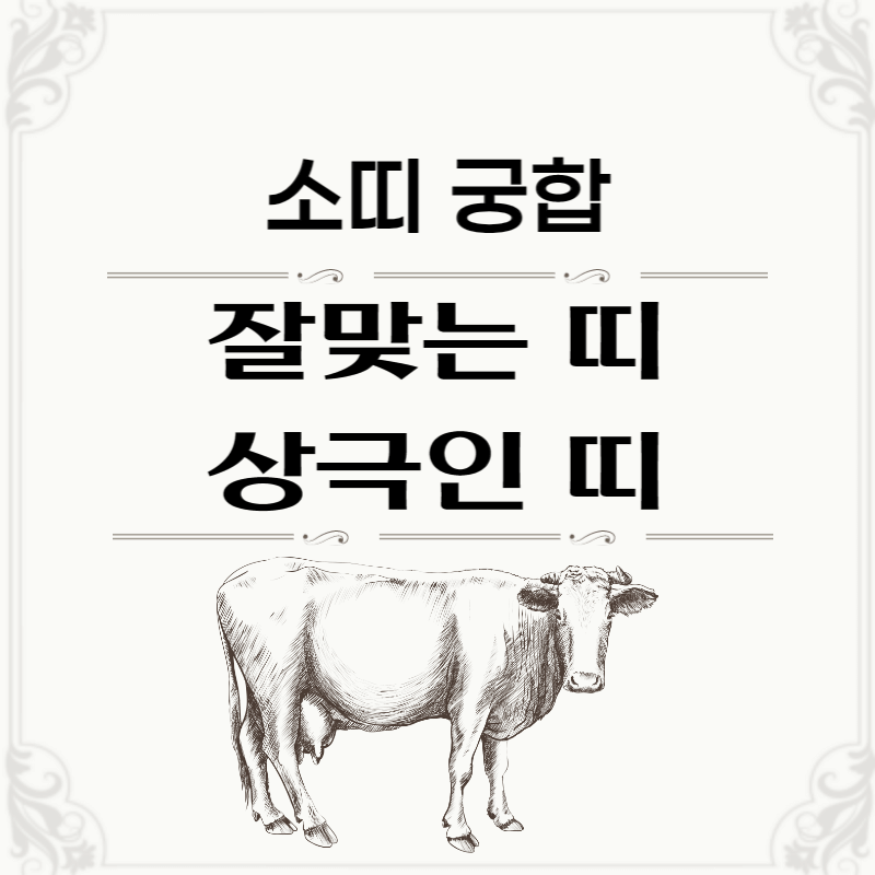 소띠-궁합-확인하기-썸네일