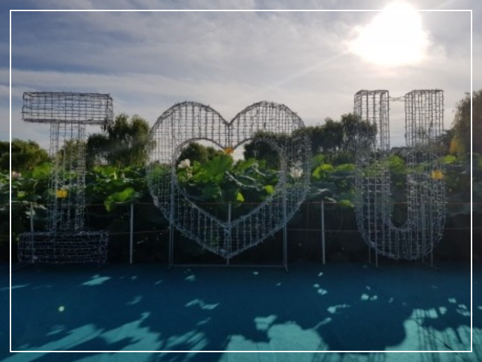 부여 가볼만한곳 베스트10 서동공원