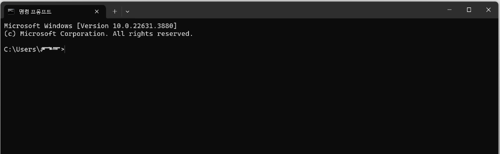 명령 프롬프트 화면