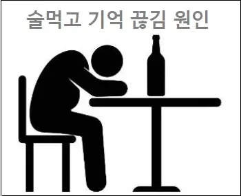 술먹고 기억 끊김 원인