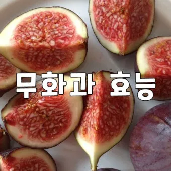 무화과 효능 칼로리 먹는 방법 수확시기 보관법_22