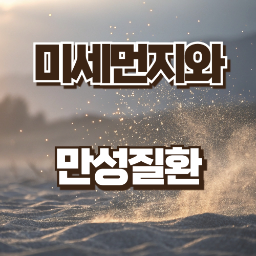 미세먼지와 만성질환