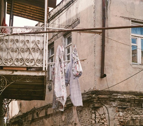 κ³ μ¨ λ€μ΅ν νκ²½μ μ·μ λ°©μΉ