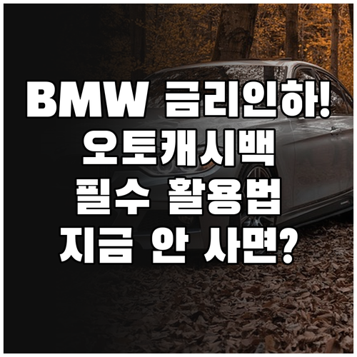 BMW 할부 금리 인하와 오토캐시백 ..