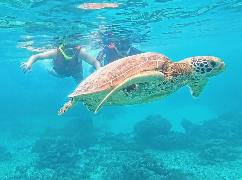 세부 로컬페이지 투어 후기