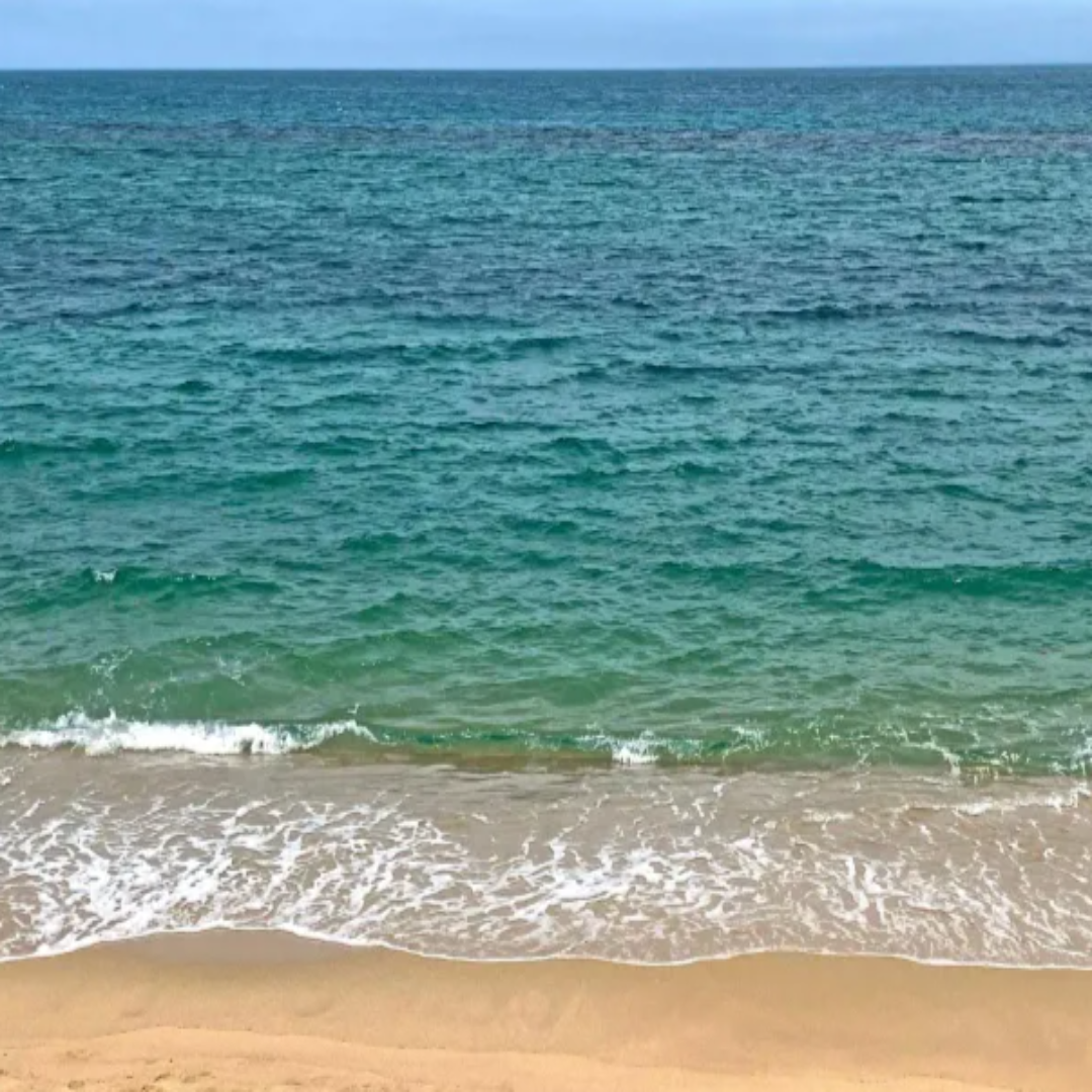 강릉 오션뷰 맛집 관련 사진