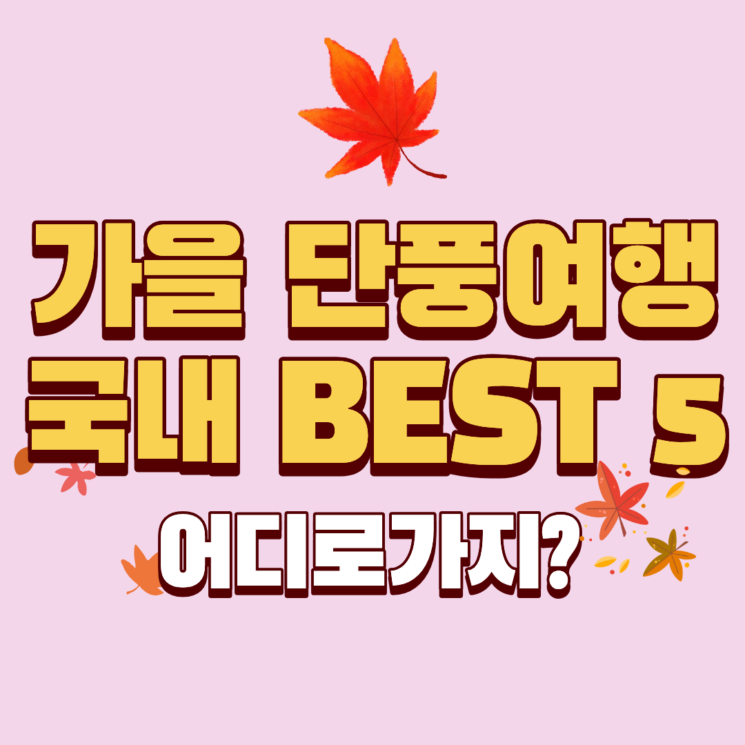 국내 단풍 여행 어디로가지