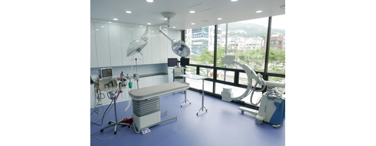 성남 분당구 동물병원