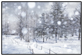 귀뚜라미보일러 온도조절기 예약사용법