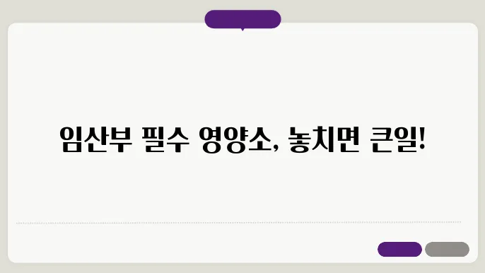 칼슘과 철분 부족을 예방하는 식품