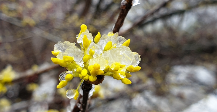 경기도 청소년 교통비 지원
