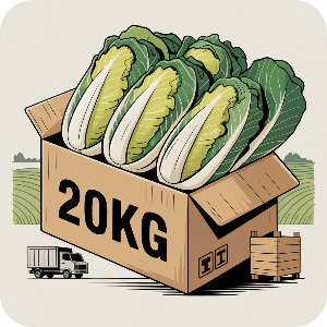 괴산 절임배추 20kg 직거래 가격 이미지