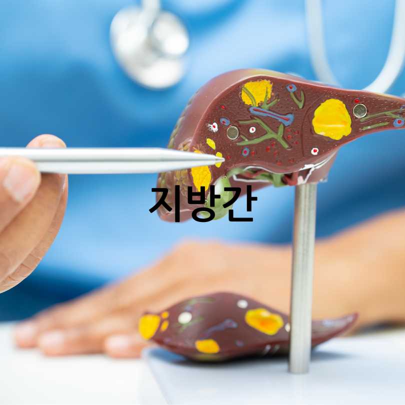 간수치 높으면 나타나는 증상과 낮추는 방법