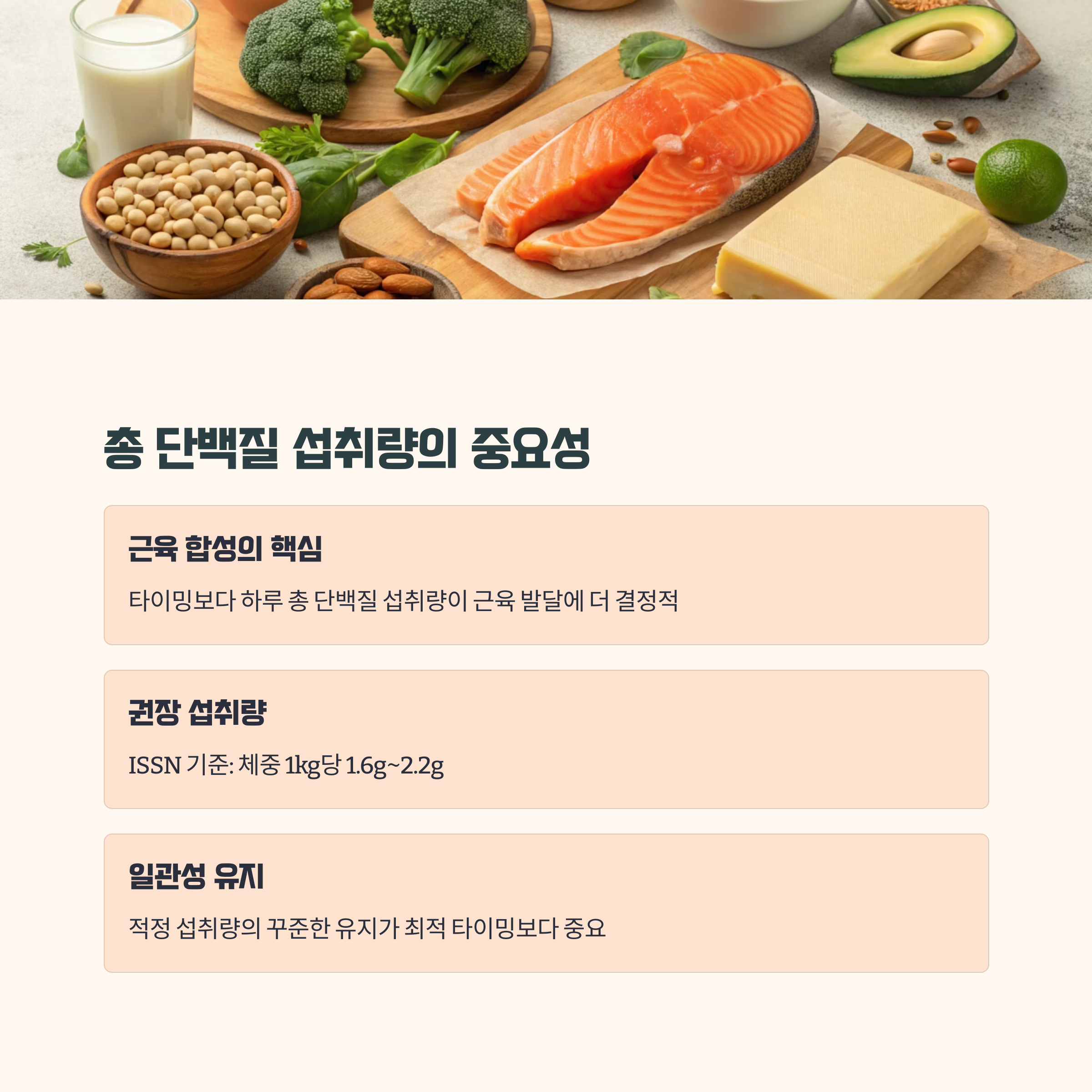 하루 총 단백질 섭취량이 중요한 이유