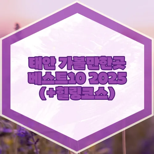 태안 가볼만한곳 베스트10 2025 (+힐링코스)