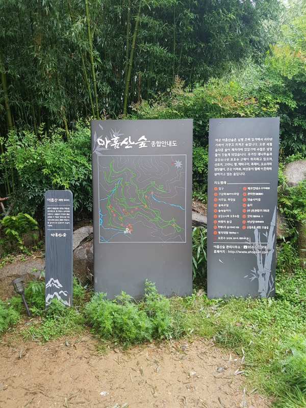 아홉산숲