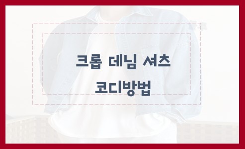 크롭 데님 셔츠