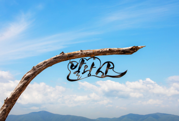 강원도 평창 발왕산과 천년주목숲길 정보