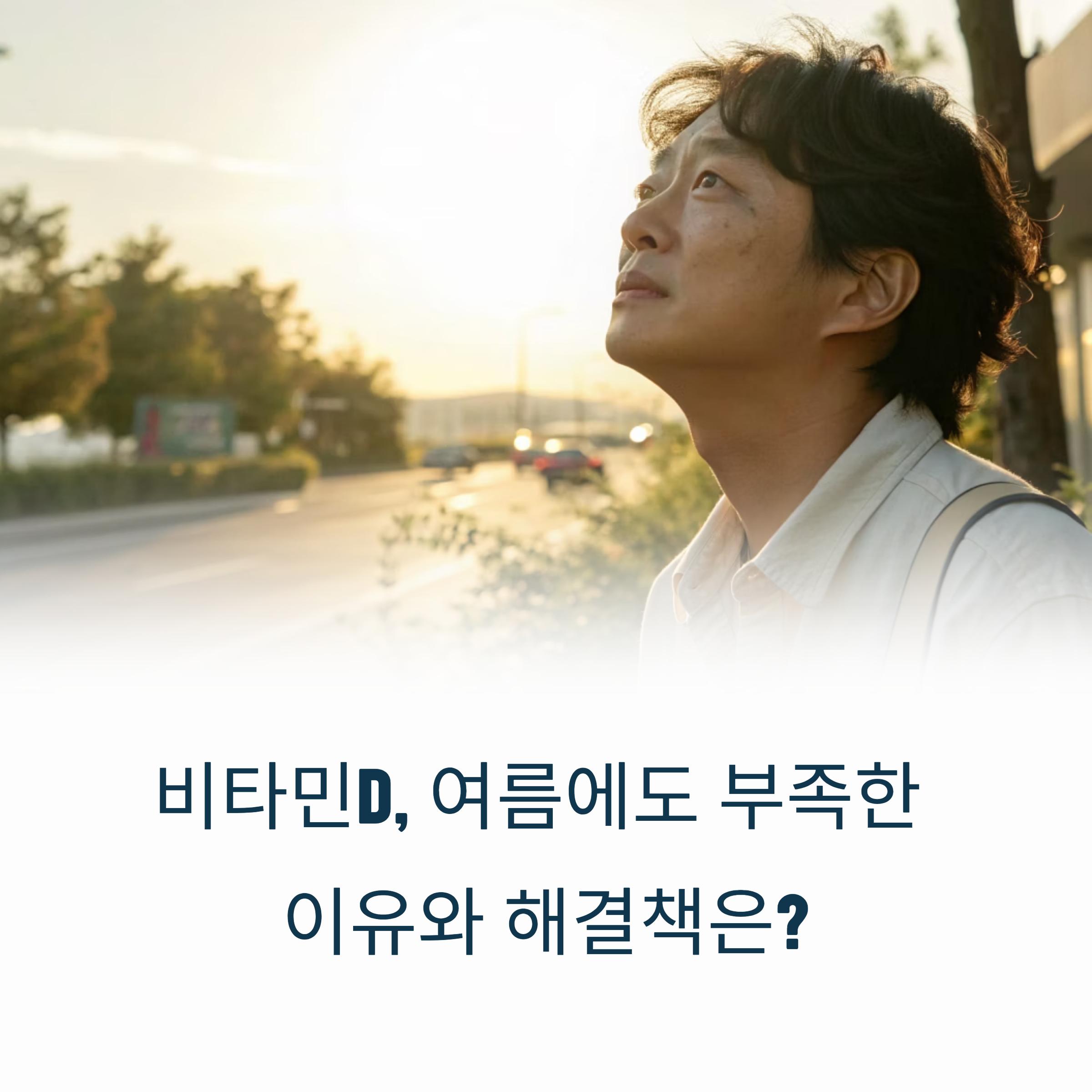 여름에도 비타민D가 부족한 이유? 햇빛과 영양제로 똑똑하게 채우는 법
