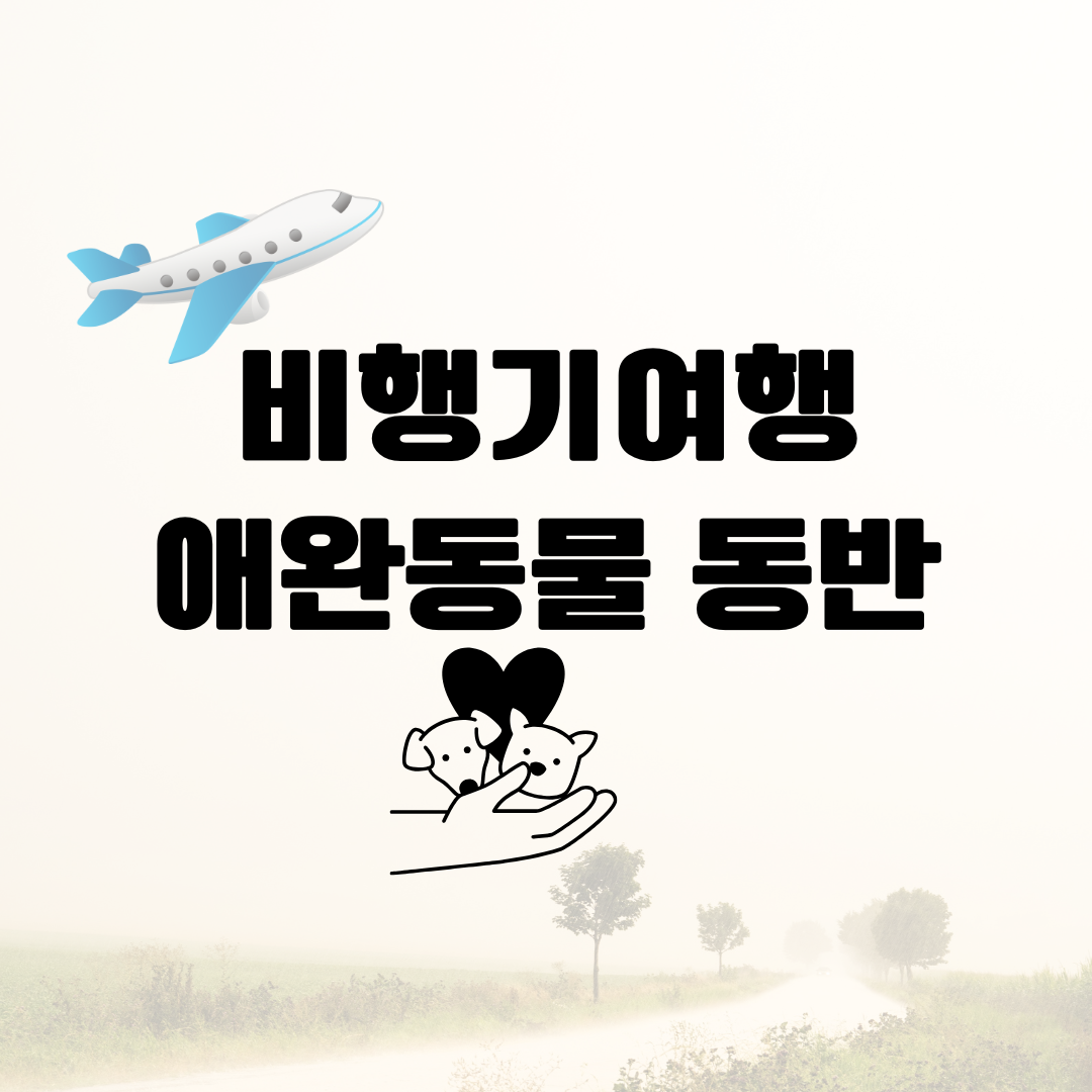 비행기여행 시 애완동물 동반