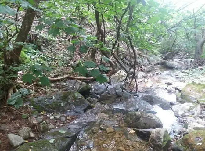 강당골계곡