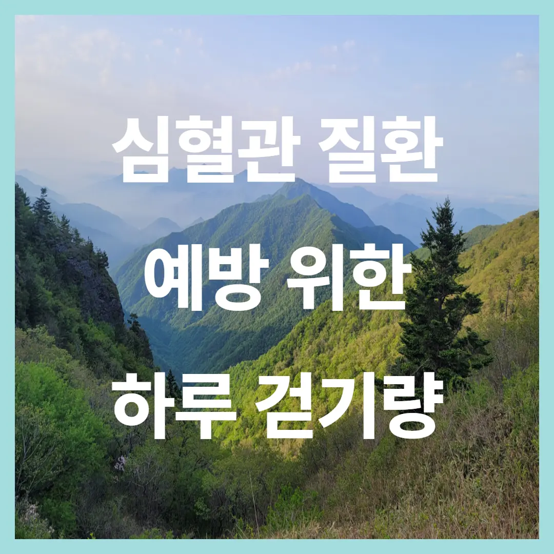 심혈관질환 예방 위한 하루 걷기량