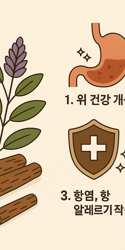 감초차 효능