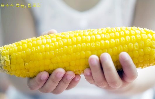 옥수수 효능