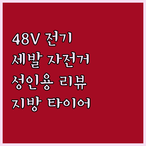 48V 화물 전기 세발 자전거 성인용