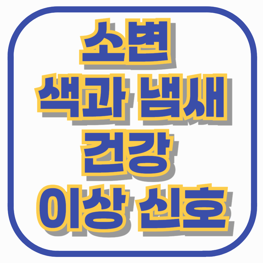 소변 색과 냄새로 알아보는 건강 이상 신호 – 내 몸이 보내는 경고, 놓치지 마세요