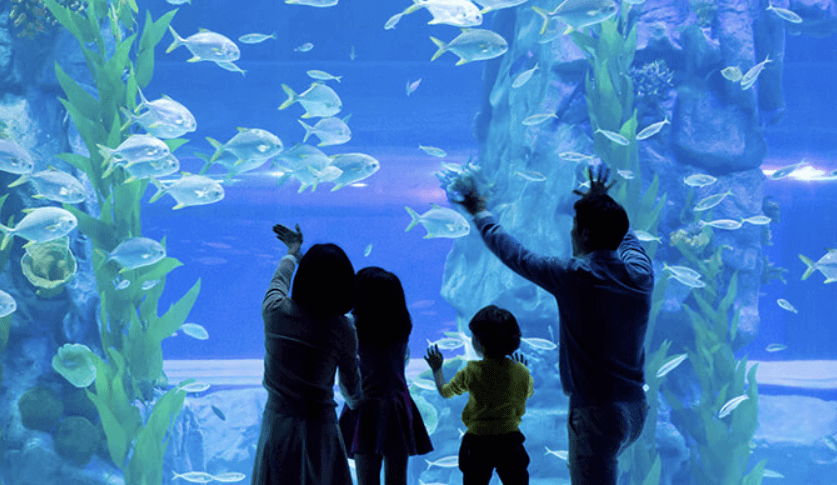 롯데월드 아쿠아리움