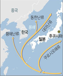 후쿠시마 오염수 방출 시기