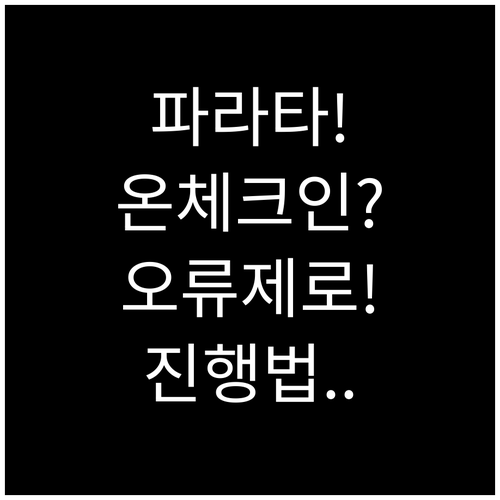 파라타항공 온라인 체크인 오류 없이 ..