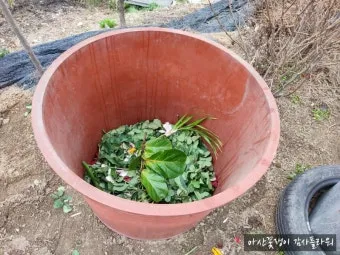 농사 퇴비 만들기 낙엽 음식물 왕겨 EM발효 쉬운 방법_26