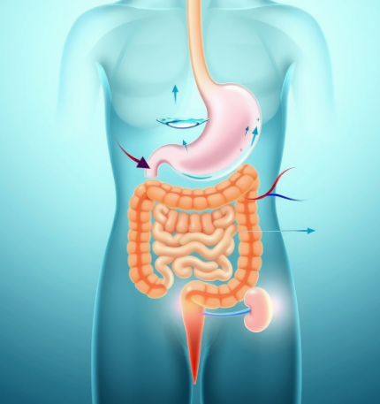 니아르브이케어-효과-후기-복용법